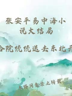 张安平易中海小说大结局